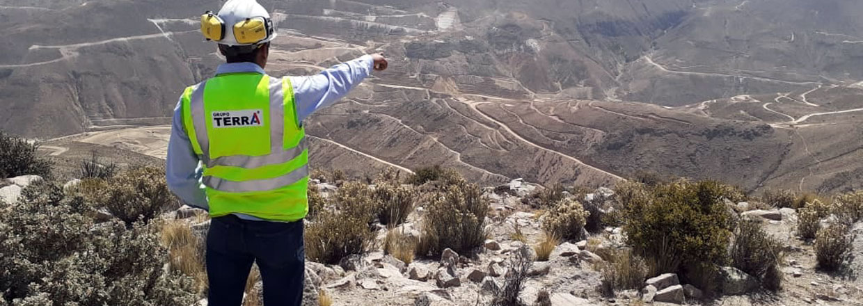 Consultoría de Proyectos